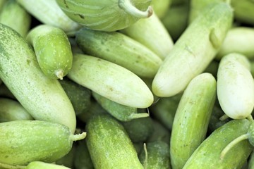 Fresh cucumber in the market