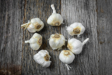 Garlic on Rustic Wood Background