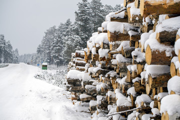 Куча брёвен на обочине дороги подготовлена для транспортирования © tsuraleks