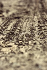 Wheel tracks on the soil.
