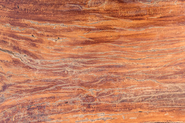 Wooden texture for background