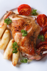 roasted rabbit leg with apples and tomatoes macro. Vertical