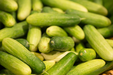 fresh cucumber, pile of fresh picked cucumber in the market