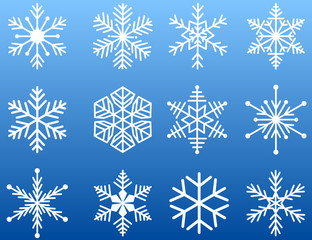 Fototapeta na wymiar Snowflake Icon Set