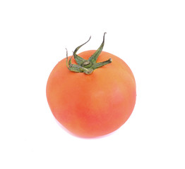 Tomato with white background