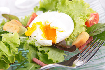 poached egg