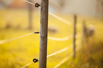 Electric fencing around a pasture with farm animals