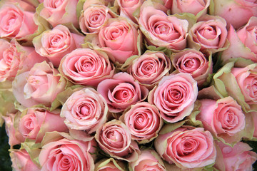 Obraz na płótnie Canvas Pink roses in a wedding arrangement