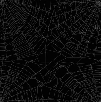 white thin webs background