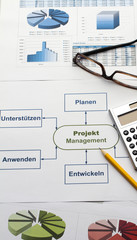 Projektmanagement Infografik