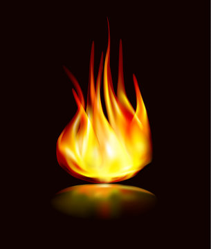 flame icon vector fire with reflection