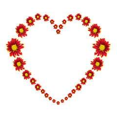 Beautiful heart of red flower isolated on white background