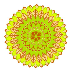 Circle mandala pattern