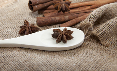 aromates bio anis badiane