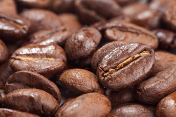 close-up of coffee beans