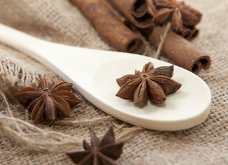 badiane anis bio cannelle