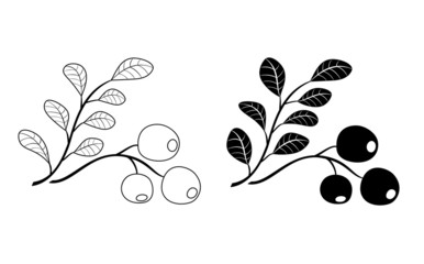 branch of cowberry - black vector