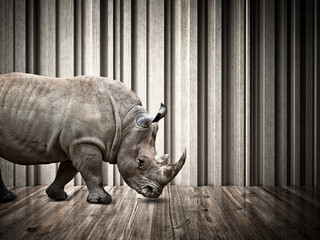 rhino in the house © tiero