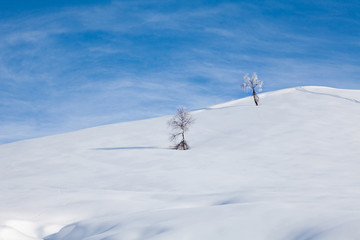 Winter calm mountain landscape