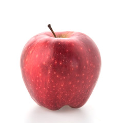 Apple fruit