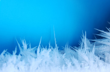 macro of frost