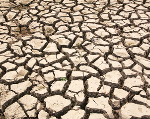 Dry cracked ground