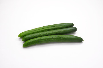 野菜　キュウリ
