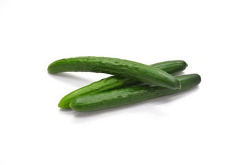 野菜　キュウリ