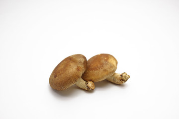 野菜　シイタケ