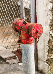 Old Fire Hydrant