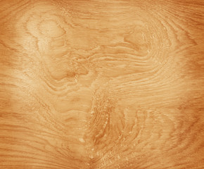 Wooden wall background
