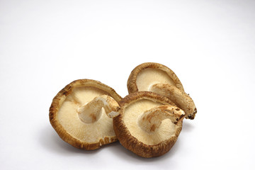 野菜　シイタケ