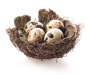 Naklejka na ściany i meble Birds nest with eggs isolated on white background
