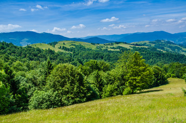 the green mountains