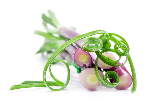 Chopped spring onions on white background