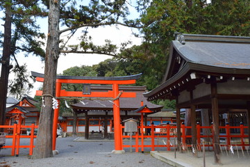 京都　吉田神社