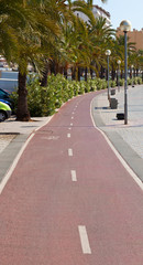 Bike path on the promenade of Palma de Mallorca
