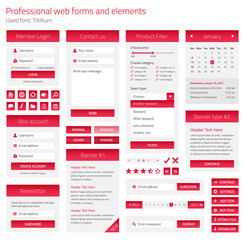 Professional set of web forms and elements on light background