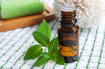 Essential mint oil