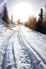 Fototapeta na wymiar Paesaggio di montagna in inverno con neve