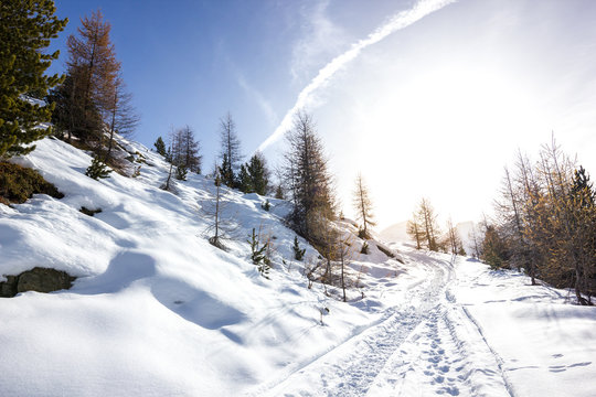 Paesaggio di montagna in inverno con neve