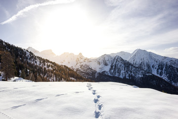 Paesaggio di montagna in inverno con neve