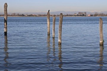 Laguna a Venezia
