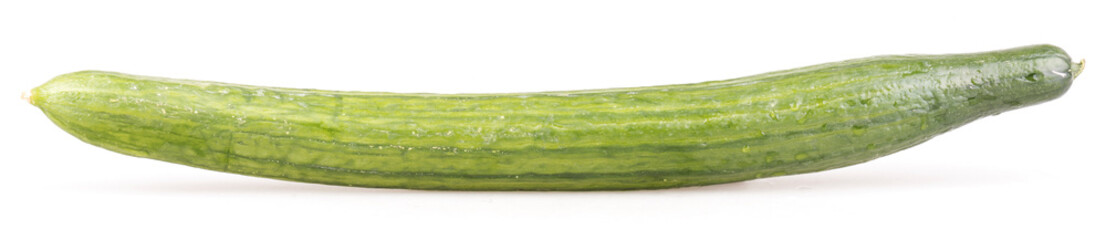 cocumber isolated