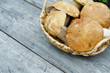 Mushrooms cepes in basket on the wooden table