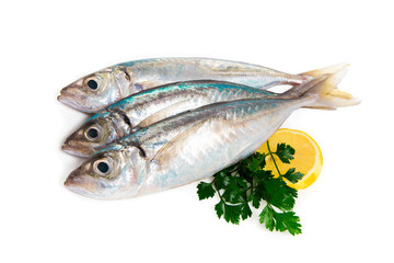 Sgombro suro with parsley and lemon isolated on white background