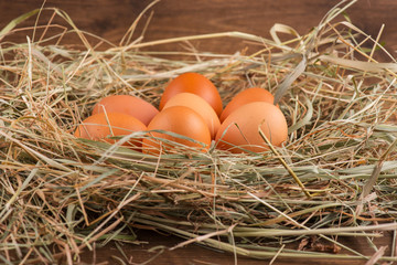 Eggs the delicious and nutritious product
