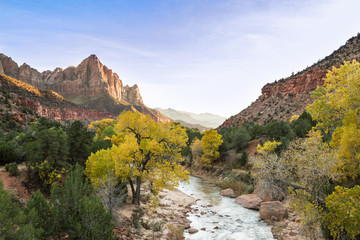 The Watchman at Zion