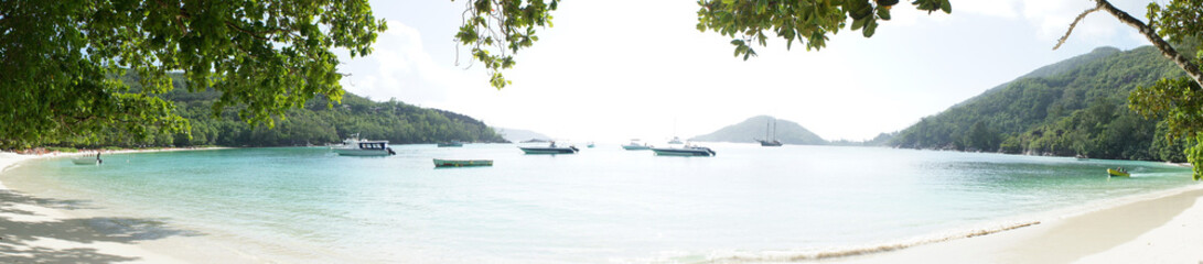 A sunlit bay full of boats in the Seychelles