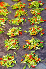 Chili on Piazza for sale